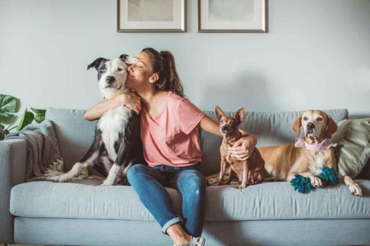 How to Save Money on Multi-Pet Insurance Policies