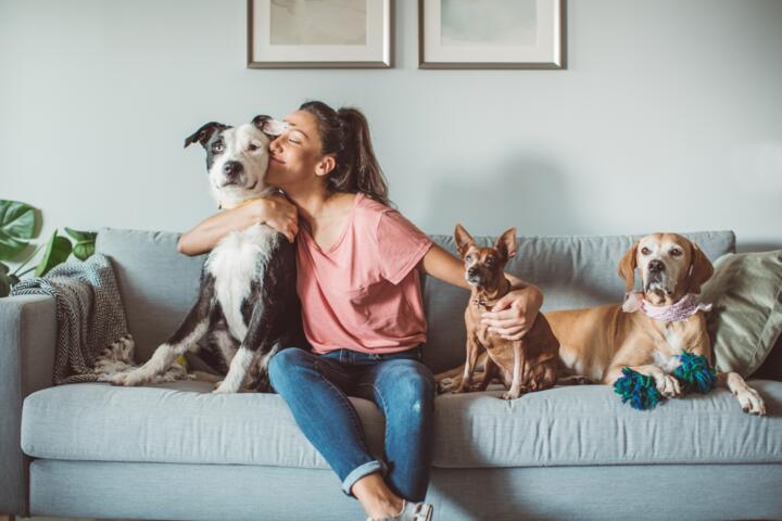 Switching Pet Insurers: Why It Is Harder Than It Looks