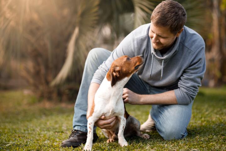 Dog Owner Liability: What Happens If Your Dog Injures Someone